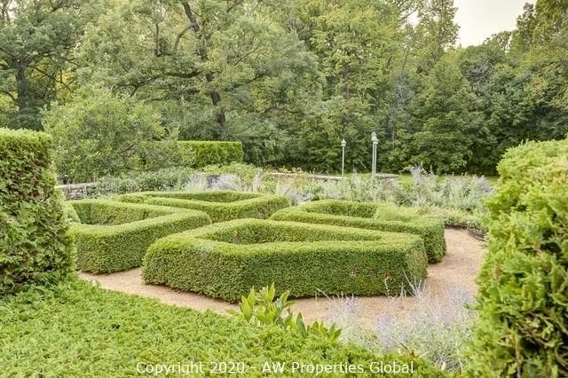 Nearly Six Acre Lake Forest Estate, photo 8