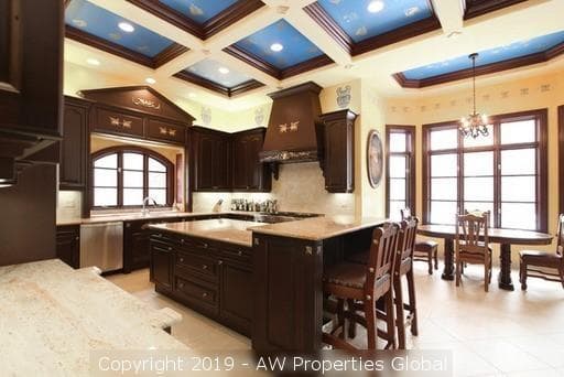 Luxury Single Family Home: 11315 77th Street, Burr Ridge, photo 5