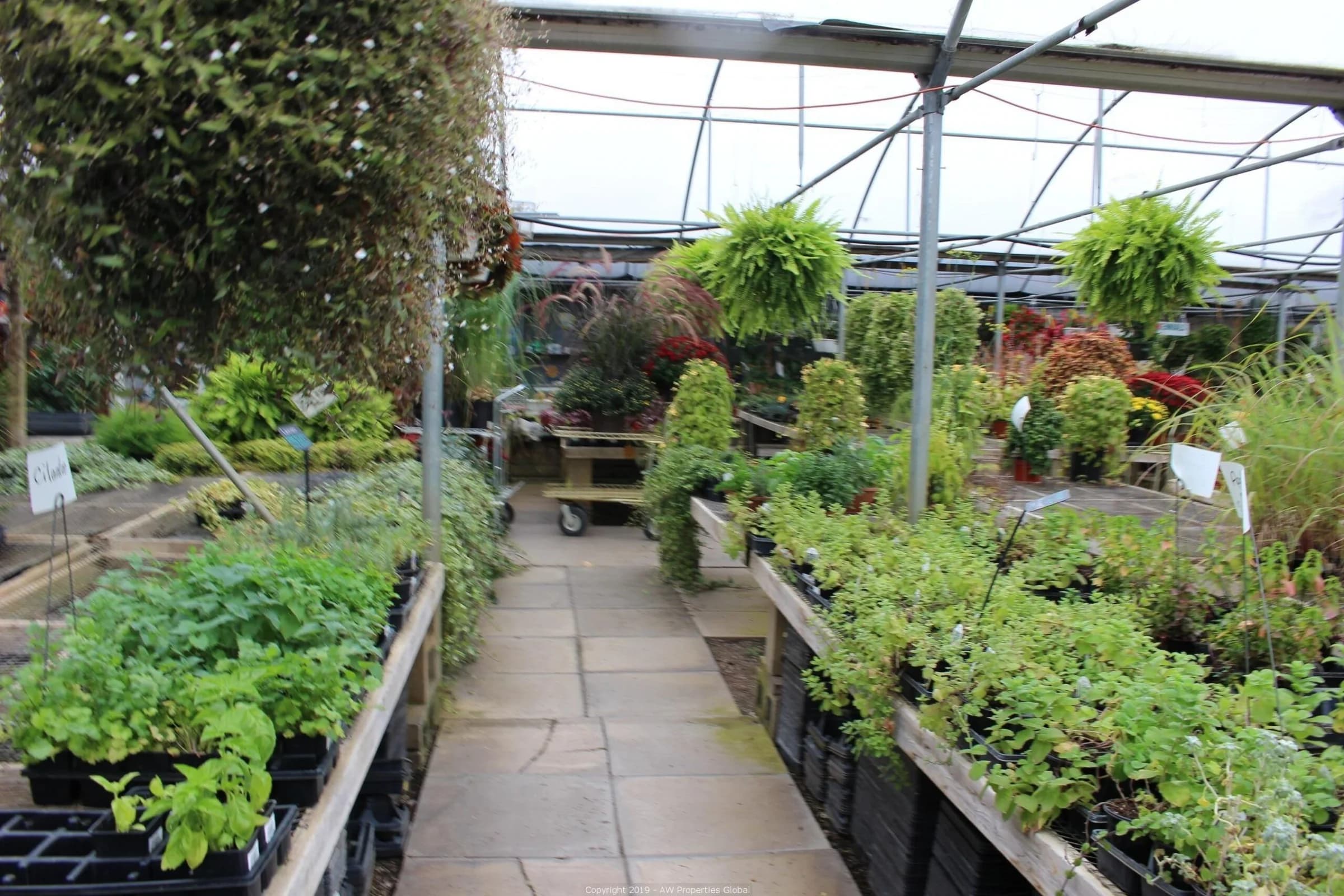 Approx. 3 Acres Commercial Zoned Land with 1 Building & 5 Greenhouses; Currently a Flower and Garden Center, photo 8