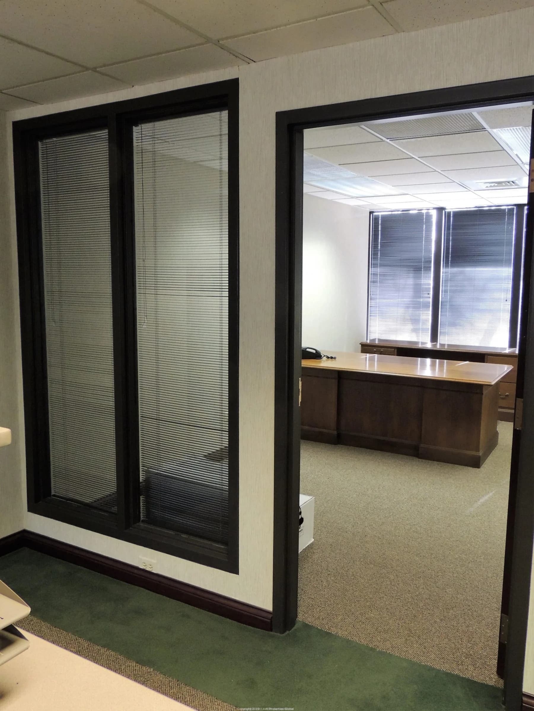 Office Building in Olympia Fields, photo 34