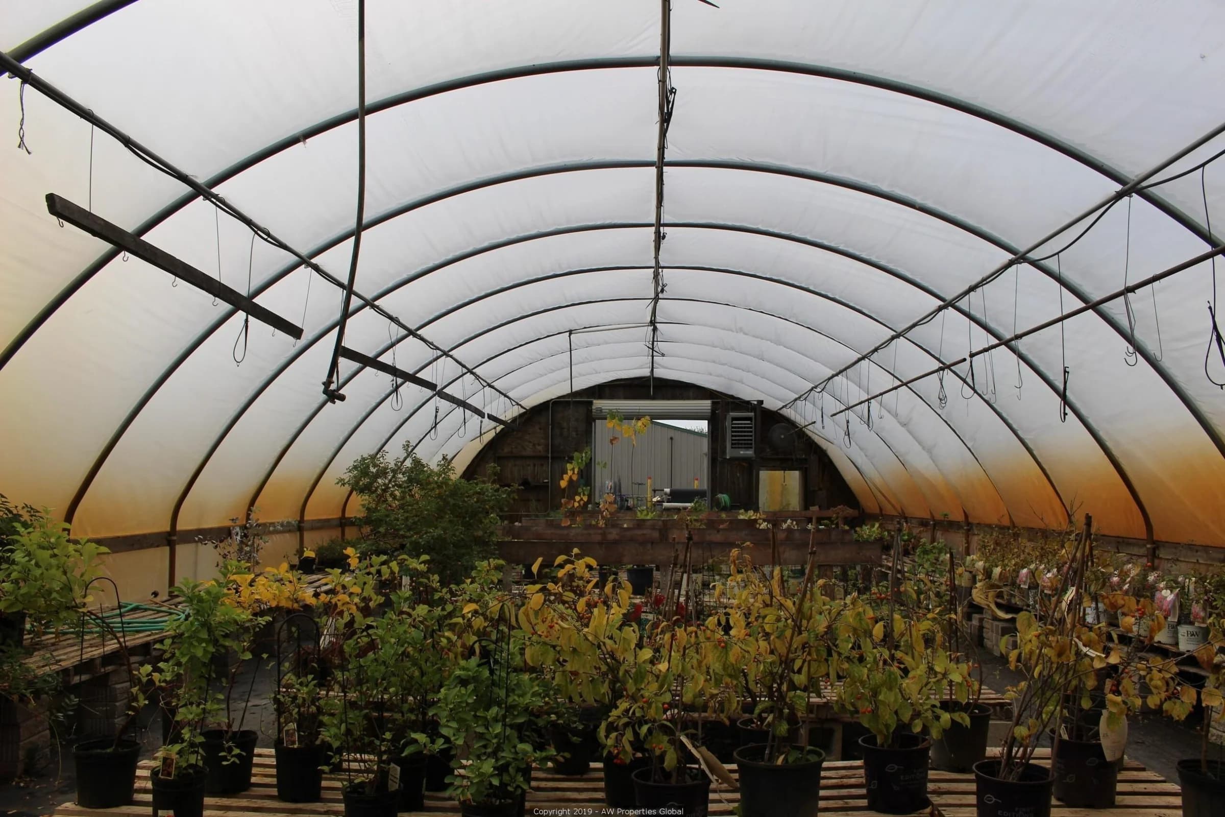 Approx. 3 Acres Commercial Zoned Land with 1 Building & 5 Greenhouses; Currently a Flower and Garden Center, photo 11
